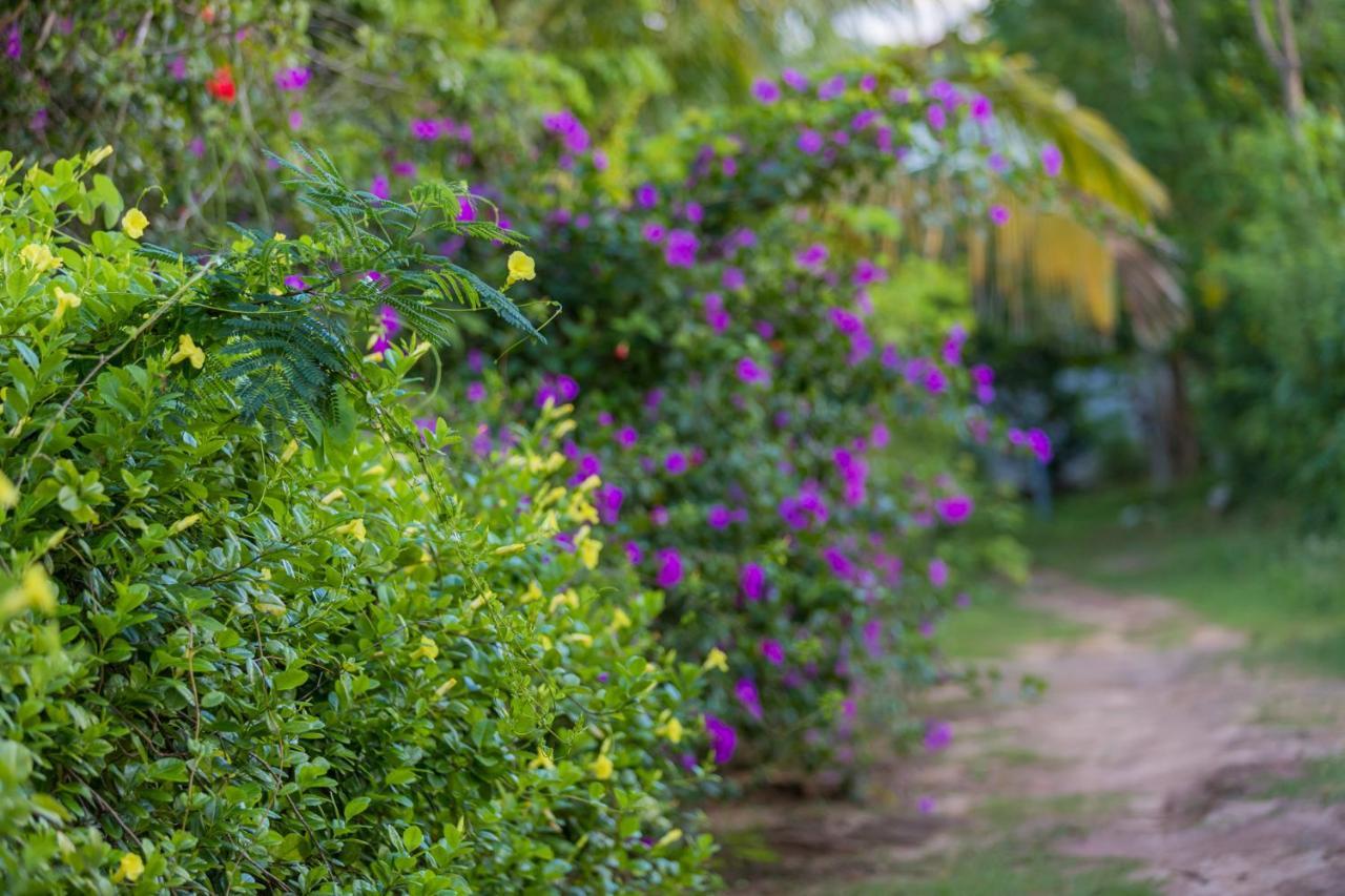 Rock Violet Lakefront Cabanas & Restaurent Tangalle Eksteriør billede