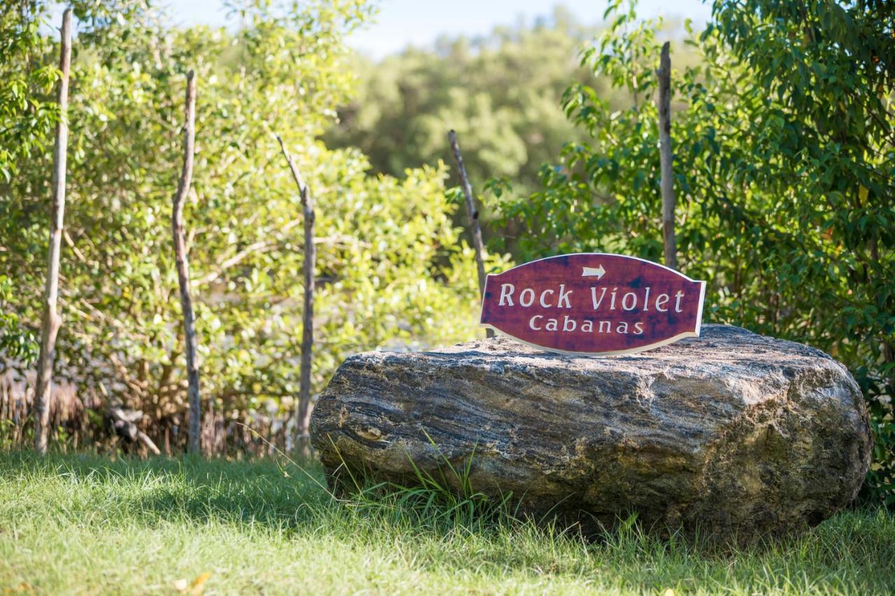 Rock Violet Lakefront Cabanas & Restaurent Tangalle Eksteriør billede
